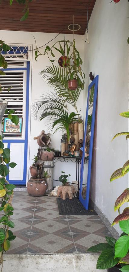 Chambre D'Hote La Calebasse Sainte-Anne Εξωτερικό φωτογραφία
